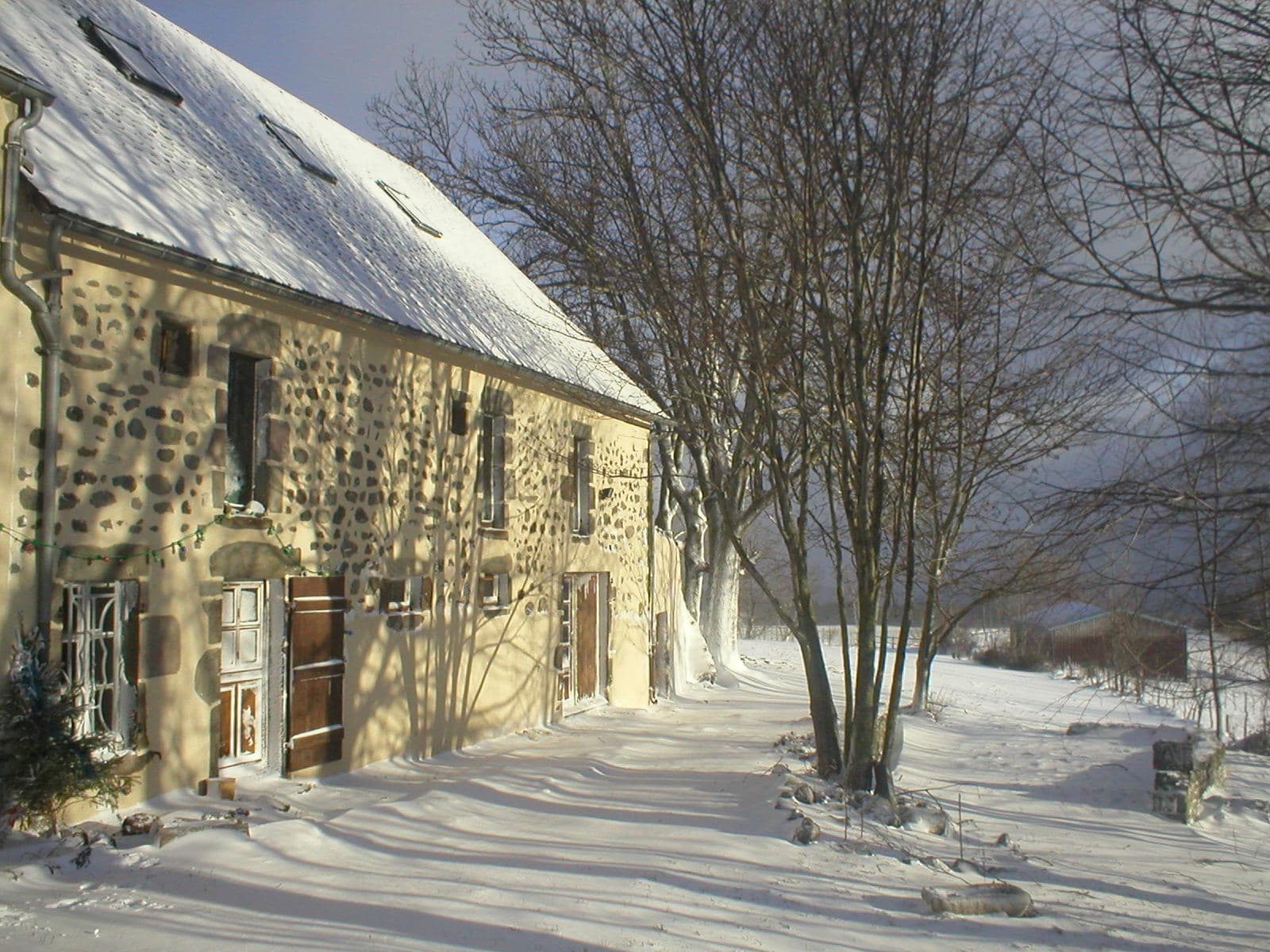Domaine Volcaflore, Saint-Victor-la-Rivière (4/5)