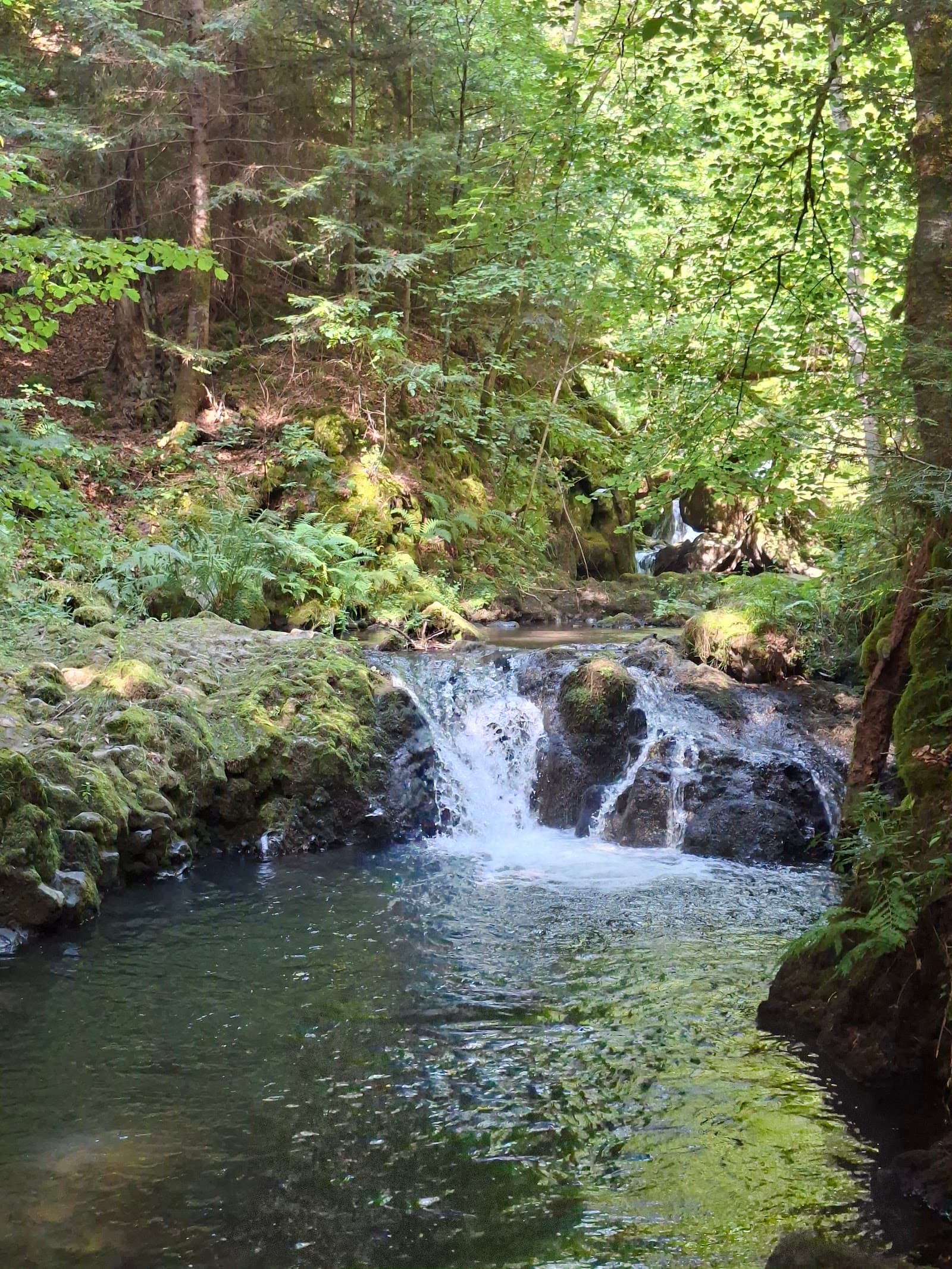 Cascades de Chiloza, Besse-et-Saint-Anastaise (2/5)