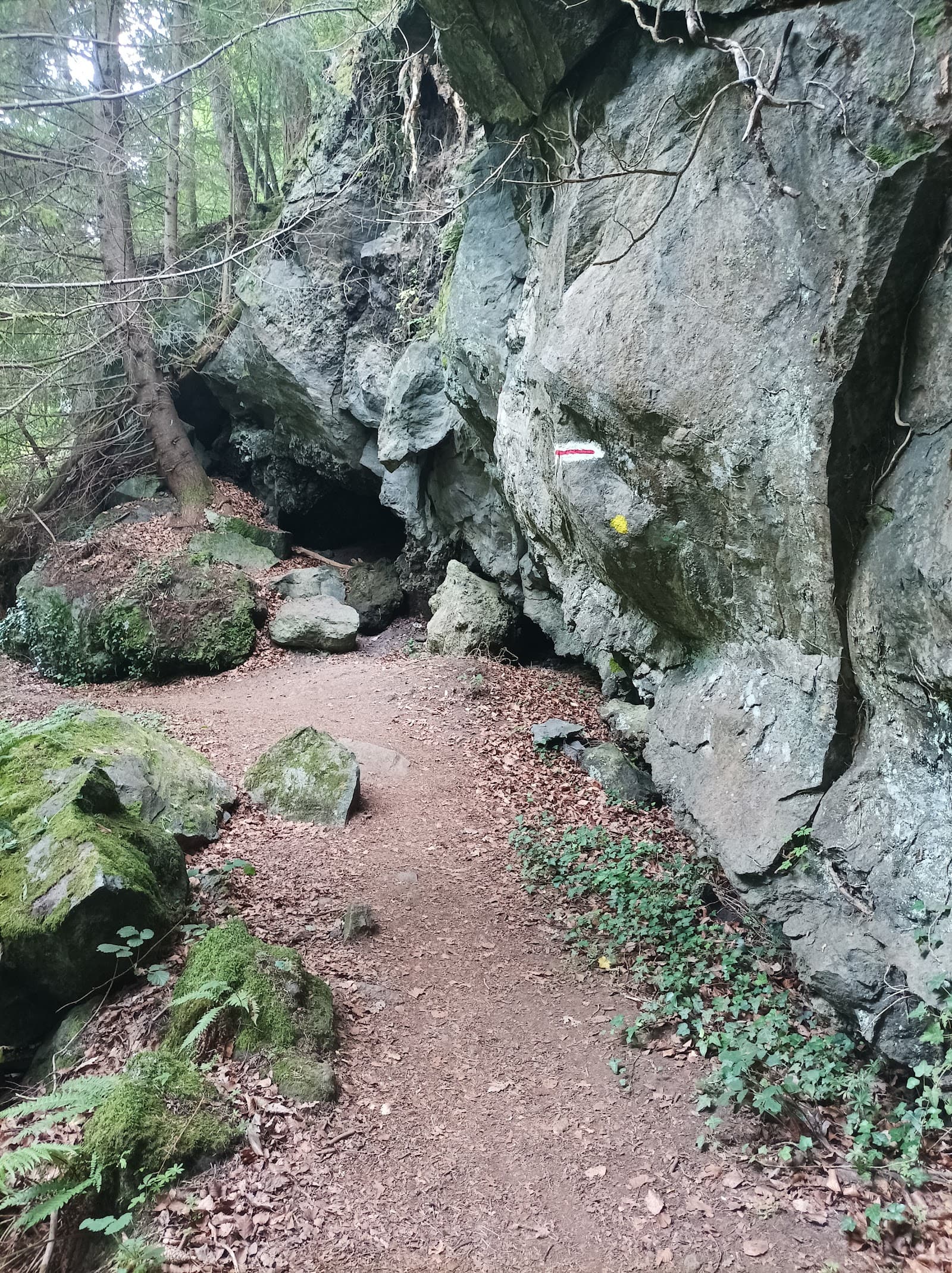 Cascades de Chiloza, Besse-et-Saint-Anastaise (3/5)