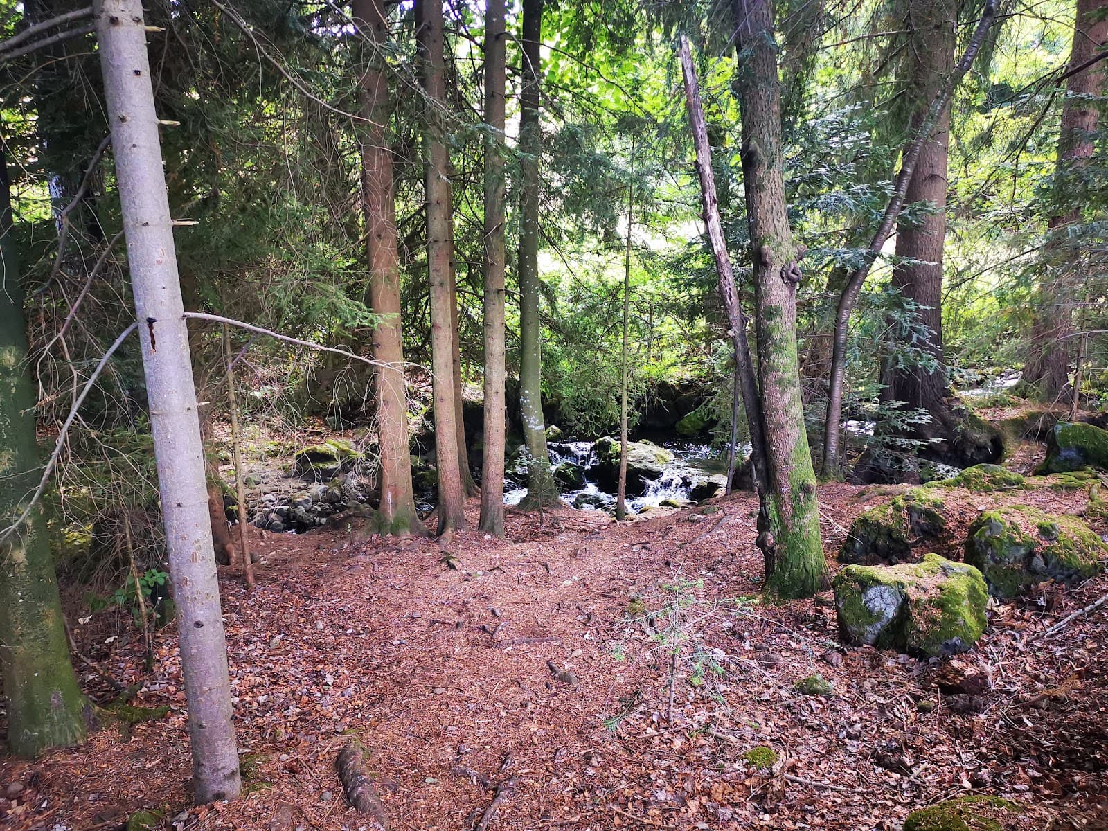 Cascades de Chiloza, Besse-et-Saint-Anastaise (4/5)