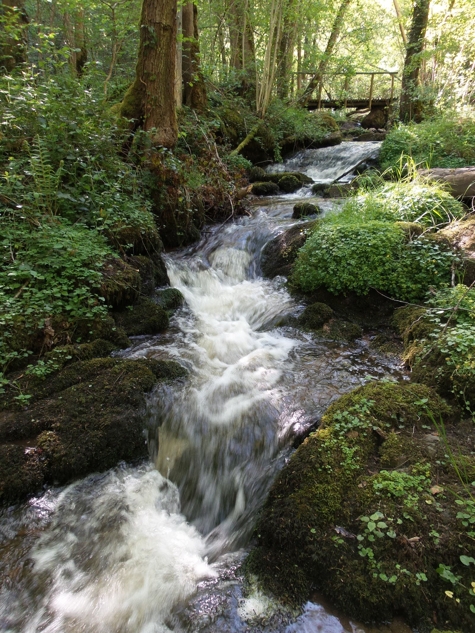 Cascade de l'Écureuil, Charbonnières-les-Varennes (2/5)