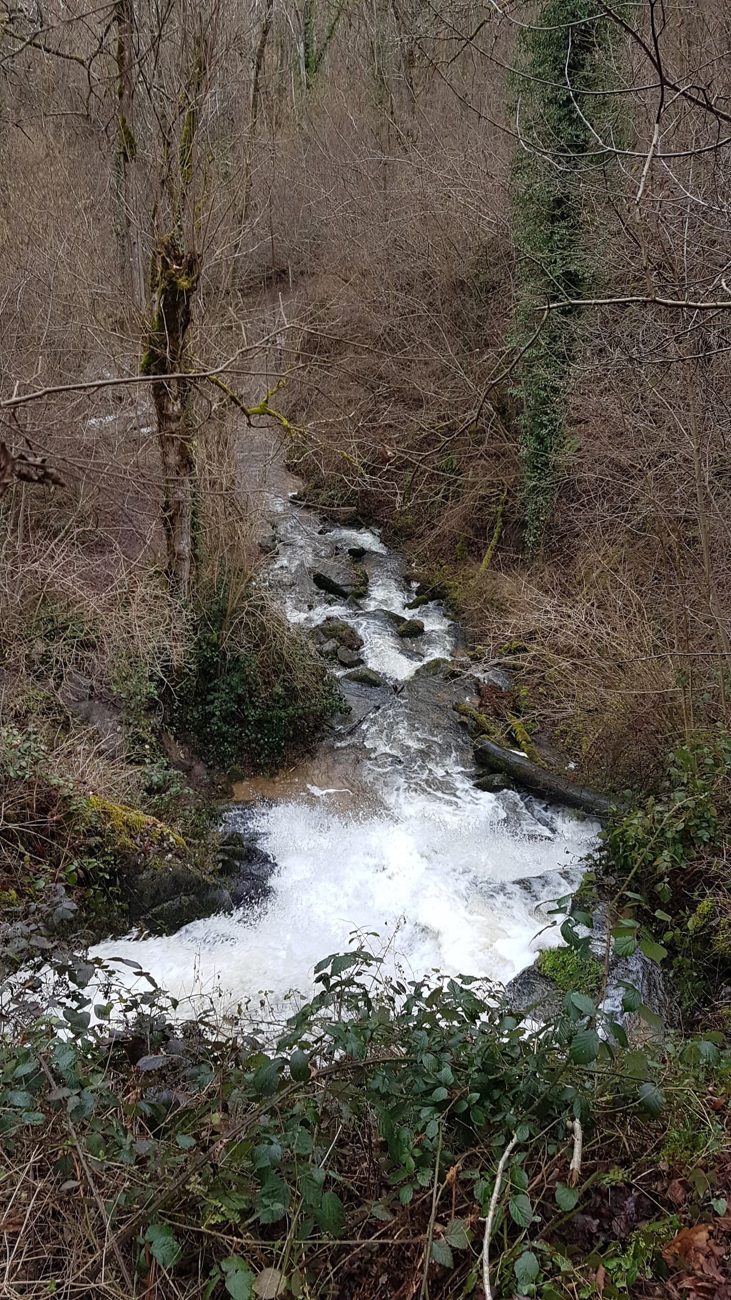 Cascade de l'Écureuil, Charbonnières-les-Varennes (3/5)