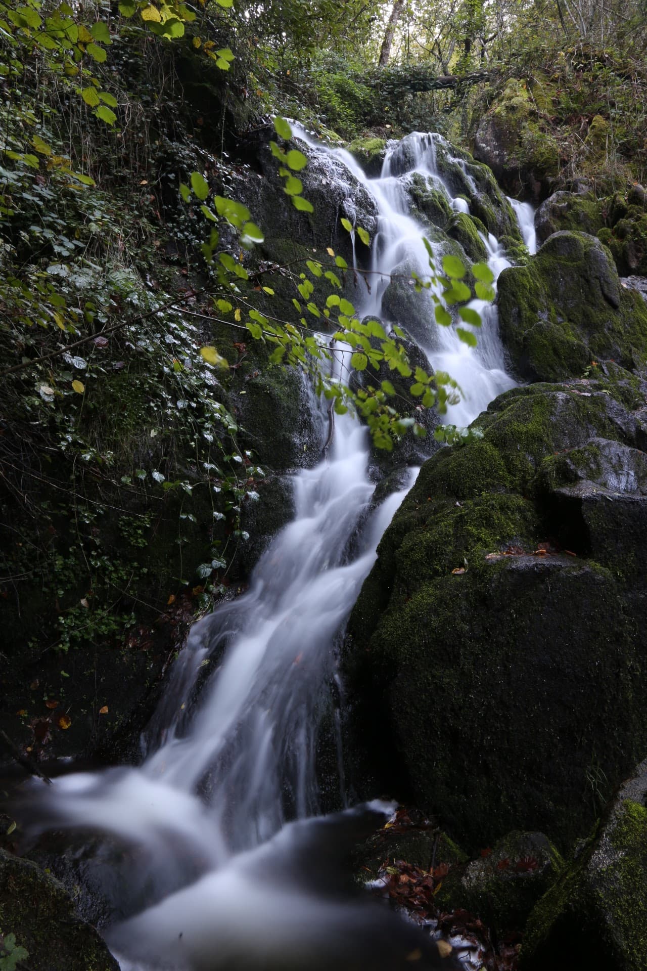 Cascade de l'Écureuil, Charbonnières-les-Varennes (4/5)