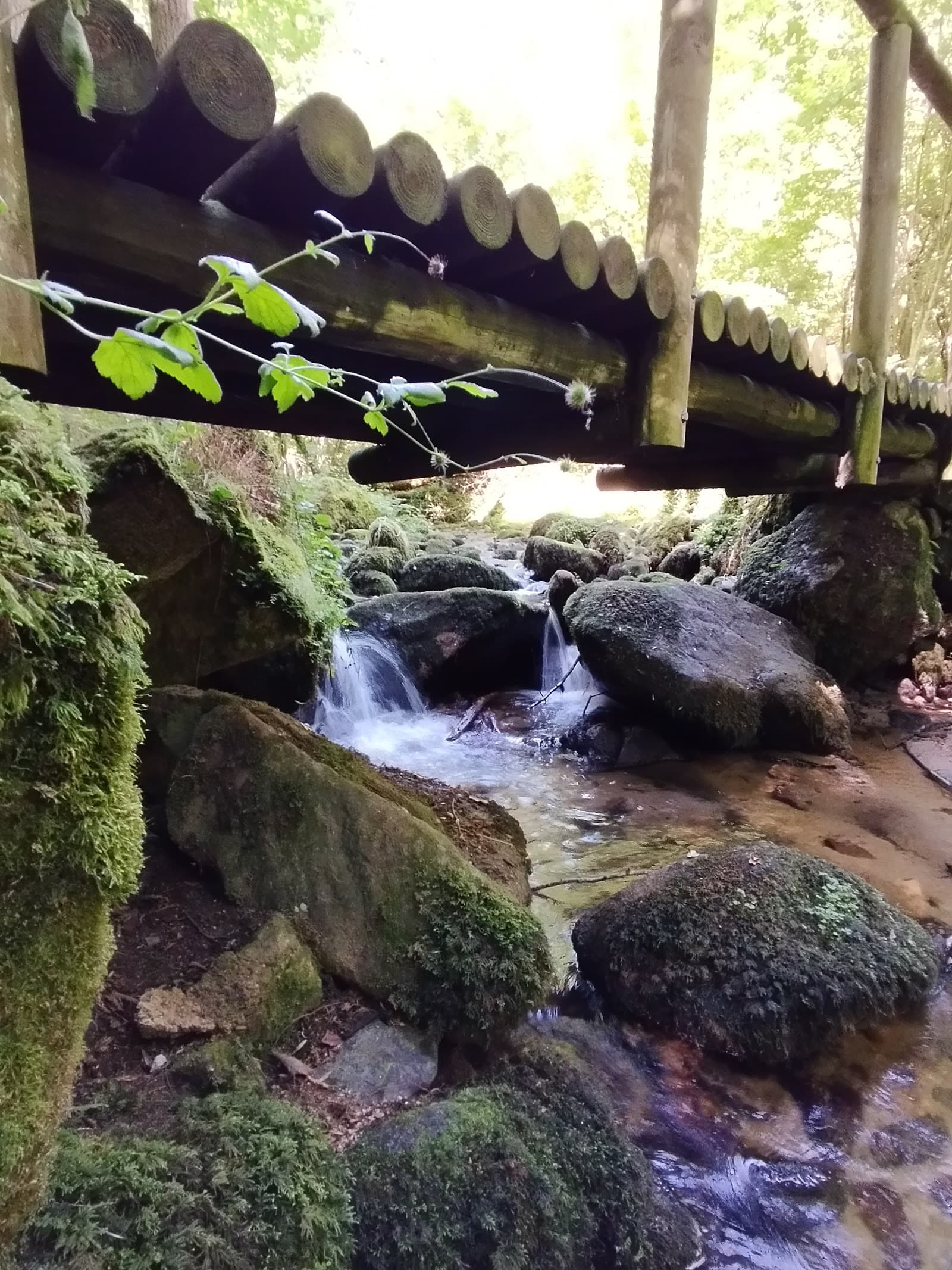 Cascade de l'Écureuil, Charbonnières-les-Varennes (5/5)