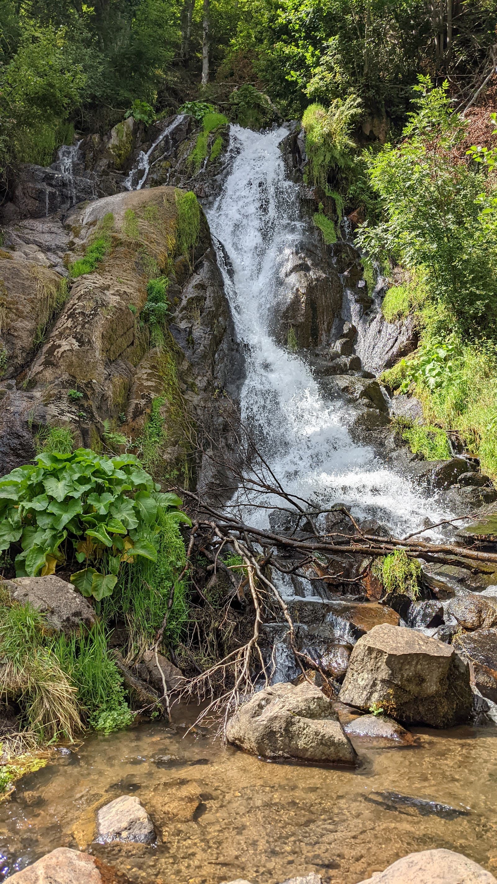 Cascade de la Voissière, Chambon-sur-Lac (1/5)