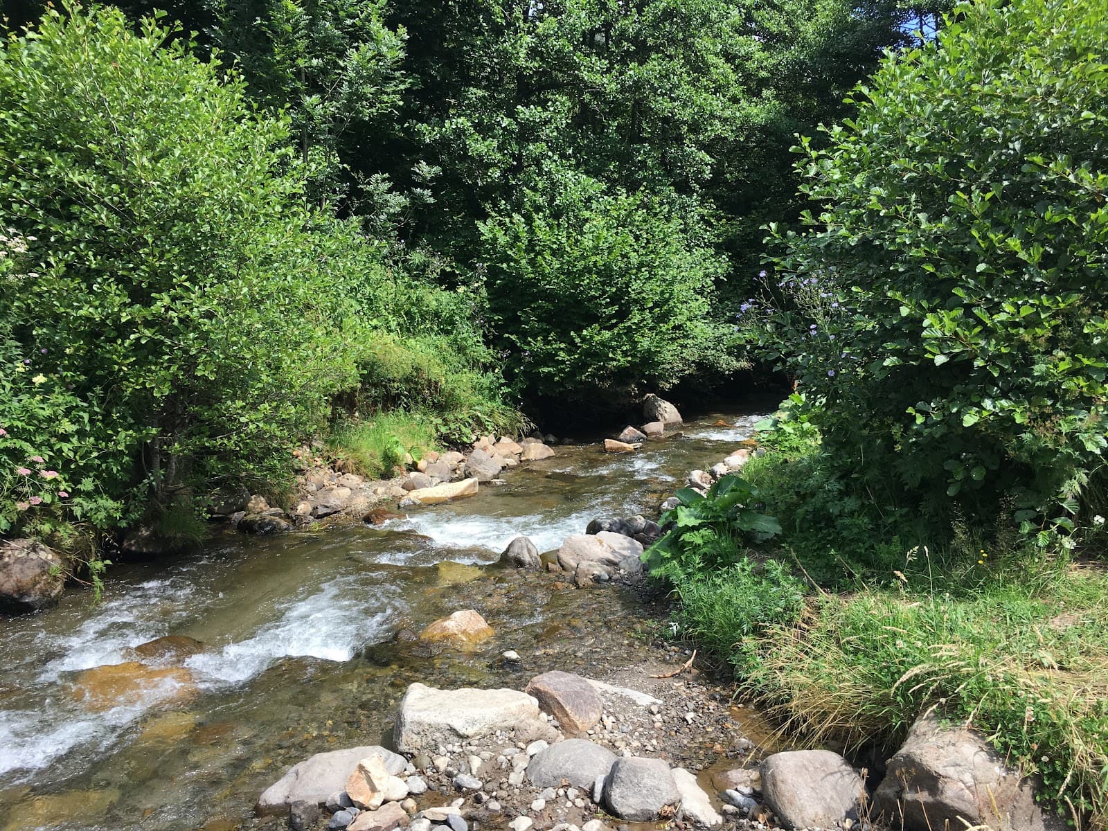 Cascade de la Voissière, Chambon-sur-Lac (3/5)