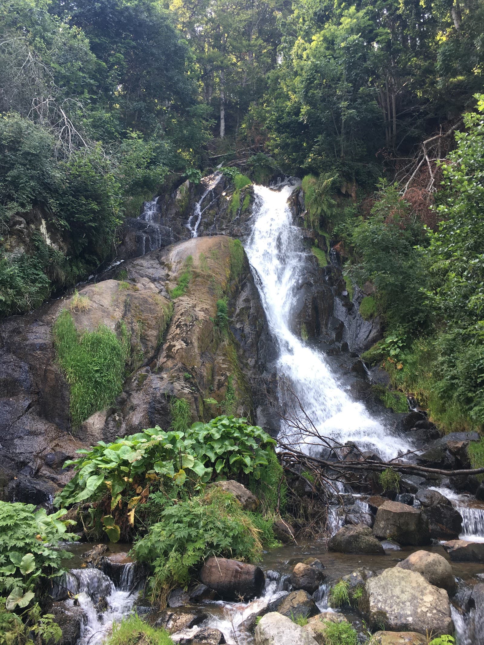 Cascade de la Voissière, Chambon-sur-Lac (4/5)