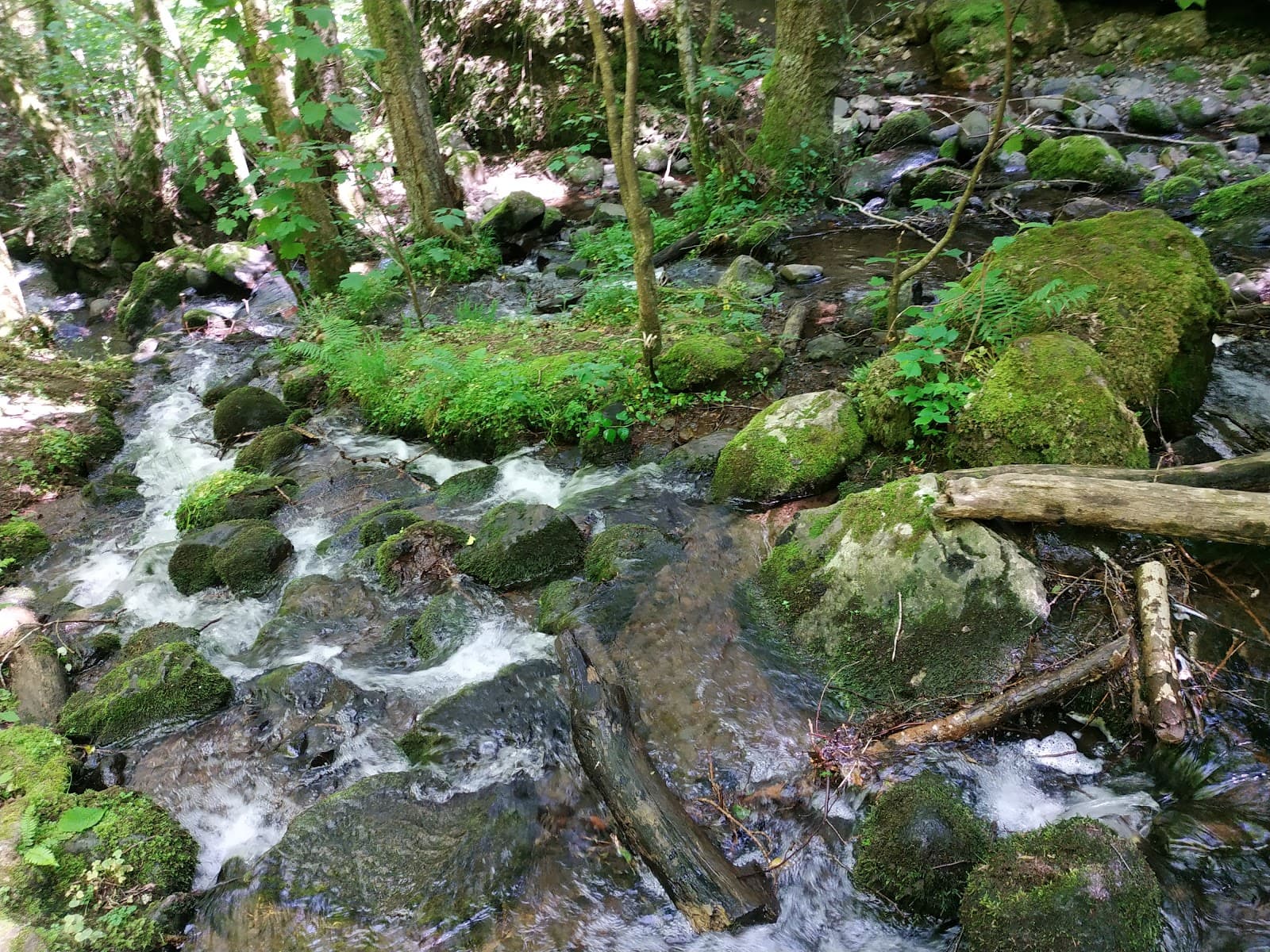 Cascade du Trou de la Conche, Vic-sur-Cère (4/5)