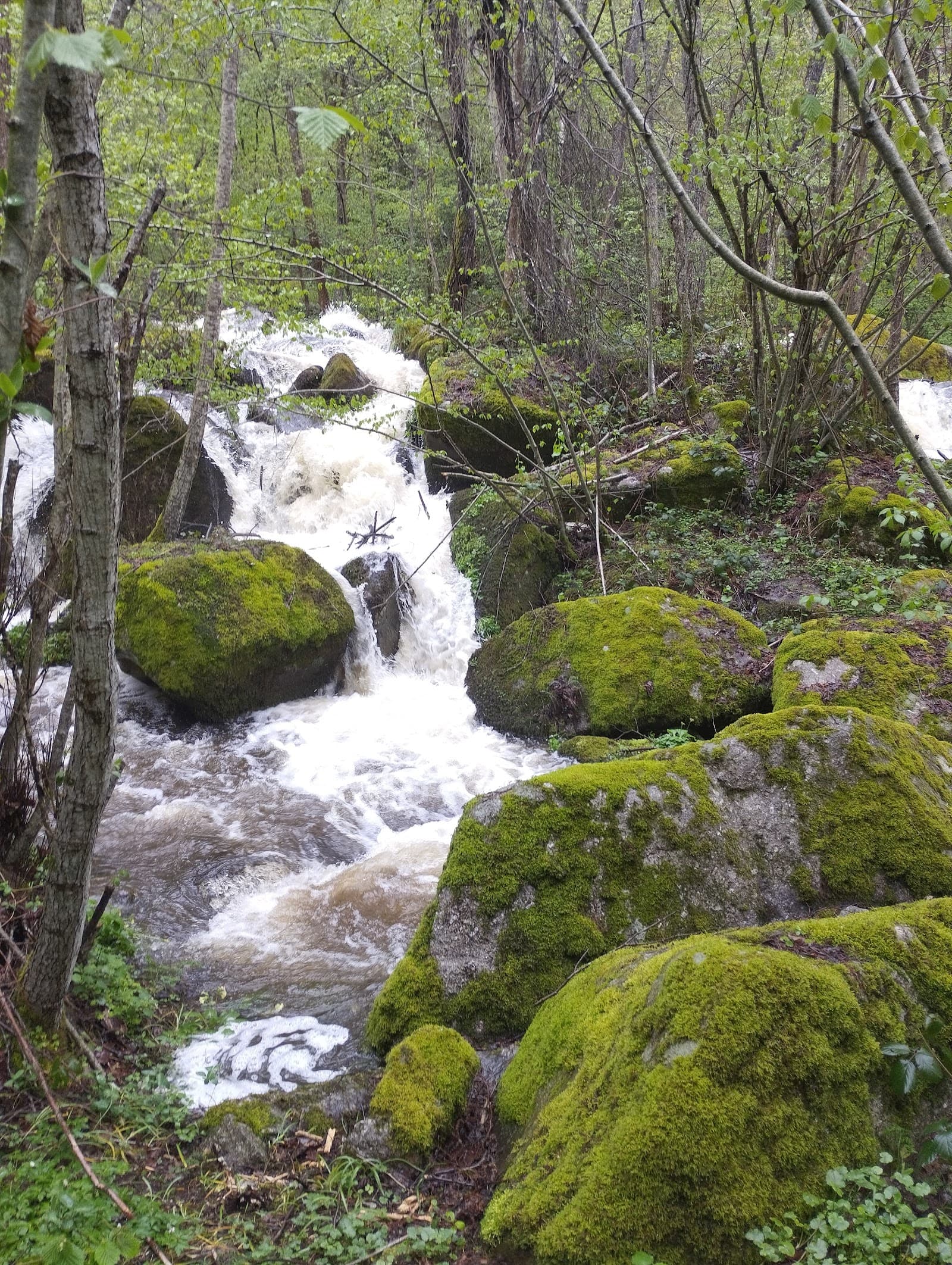 Cascade de Say, Gelles (2/5)