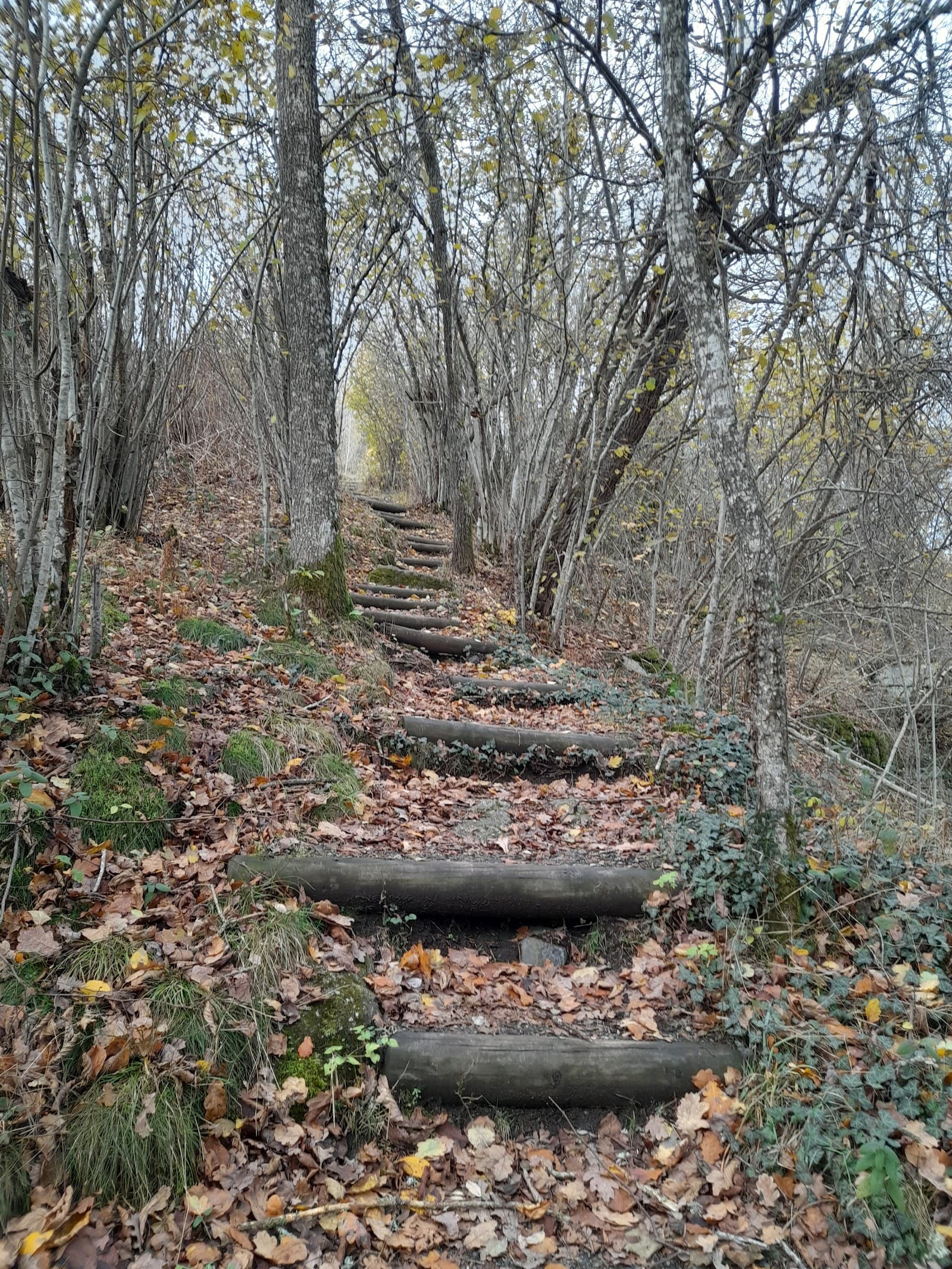 Cascade de Say, Gelles (3/5)