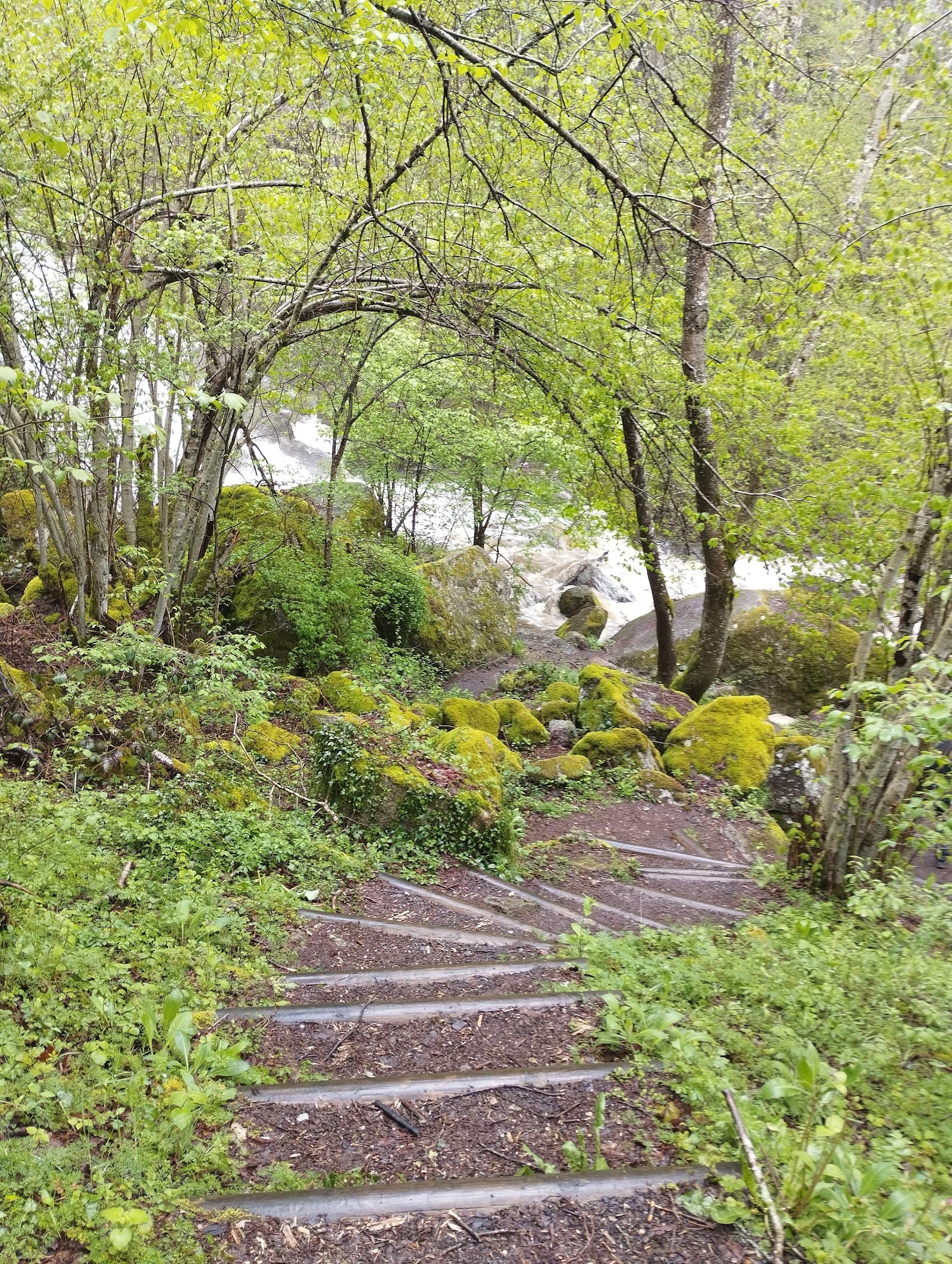 Cascade de Say, Gelles (4/5)