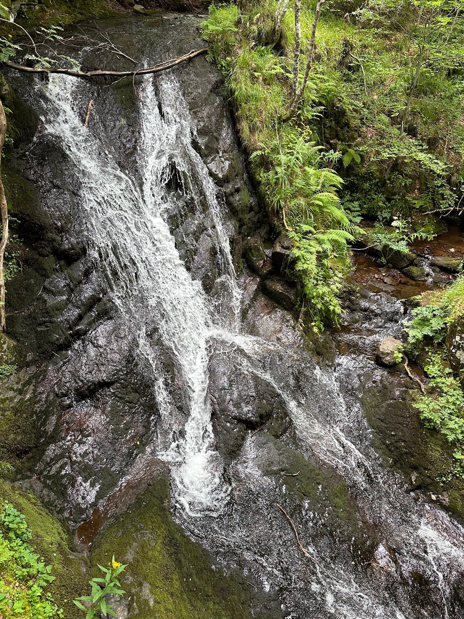 Les cascades de Brezons, Brezons (5/5)