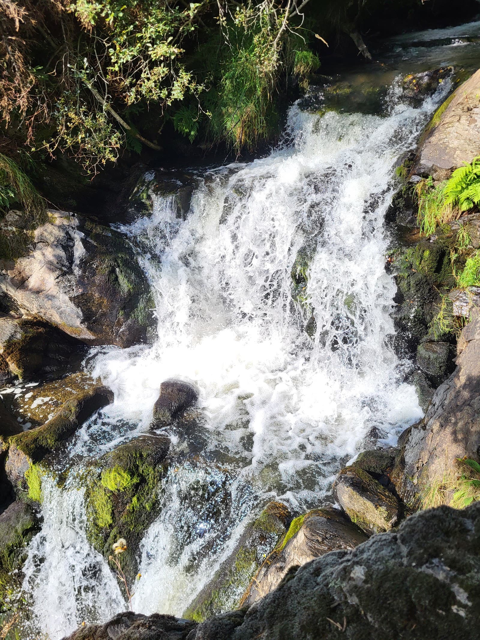 Cascade de Jassy, Saint-Alyre-ès-Montagne (3/5)
