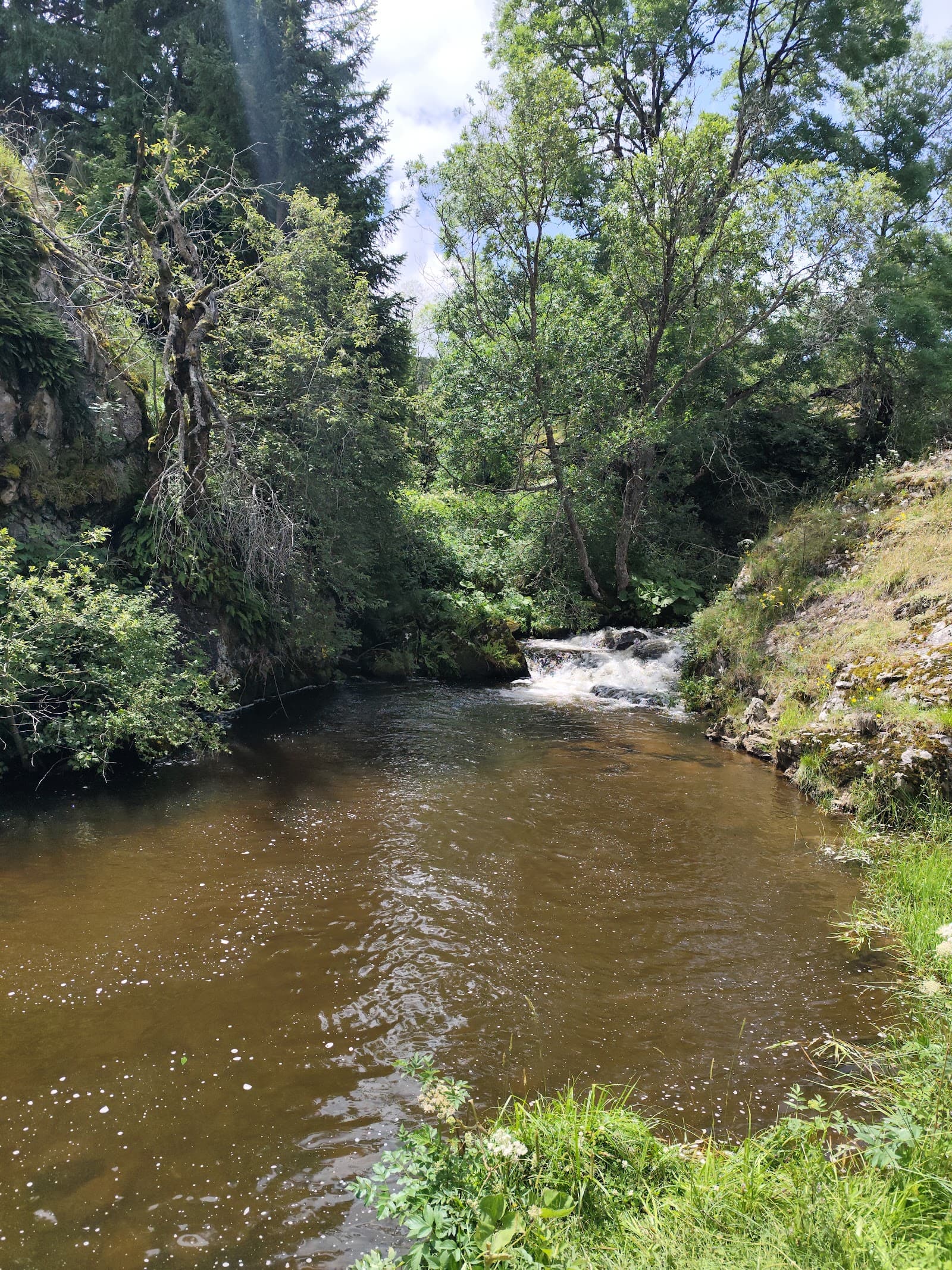 Cascade de Jassy, Saint-Alyre-ès-Montagne (5/5)