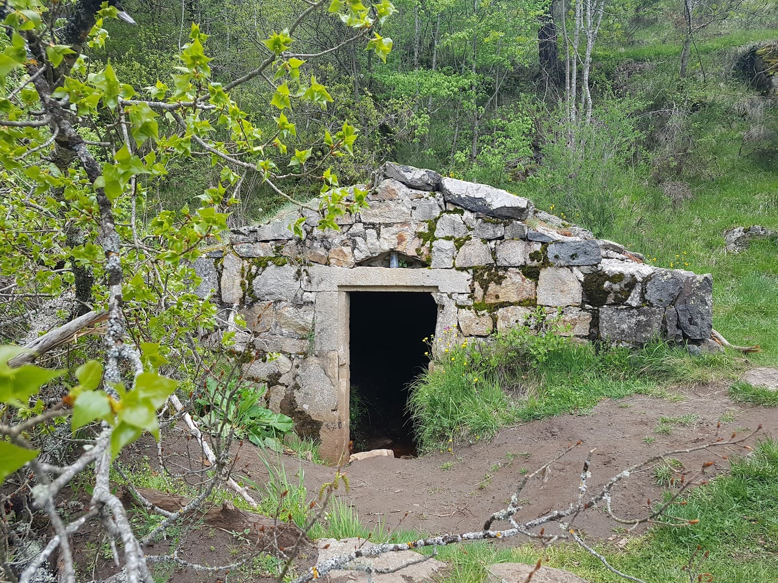 Source de Bonnefont, Saint-Martin-de-Fugères (2/5)