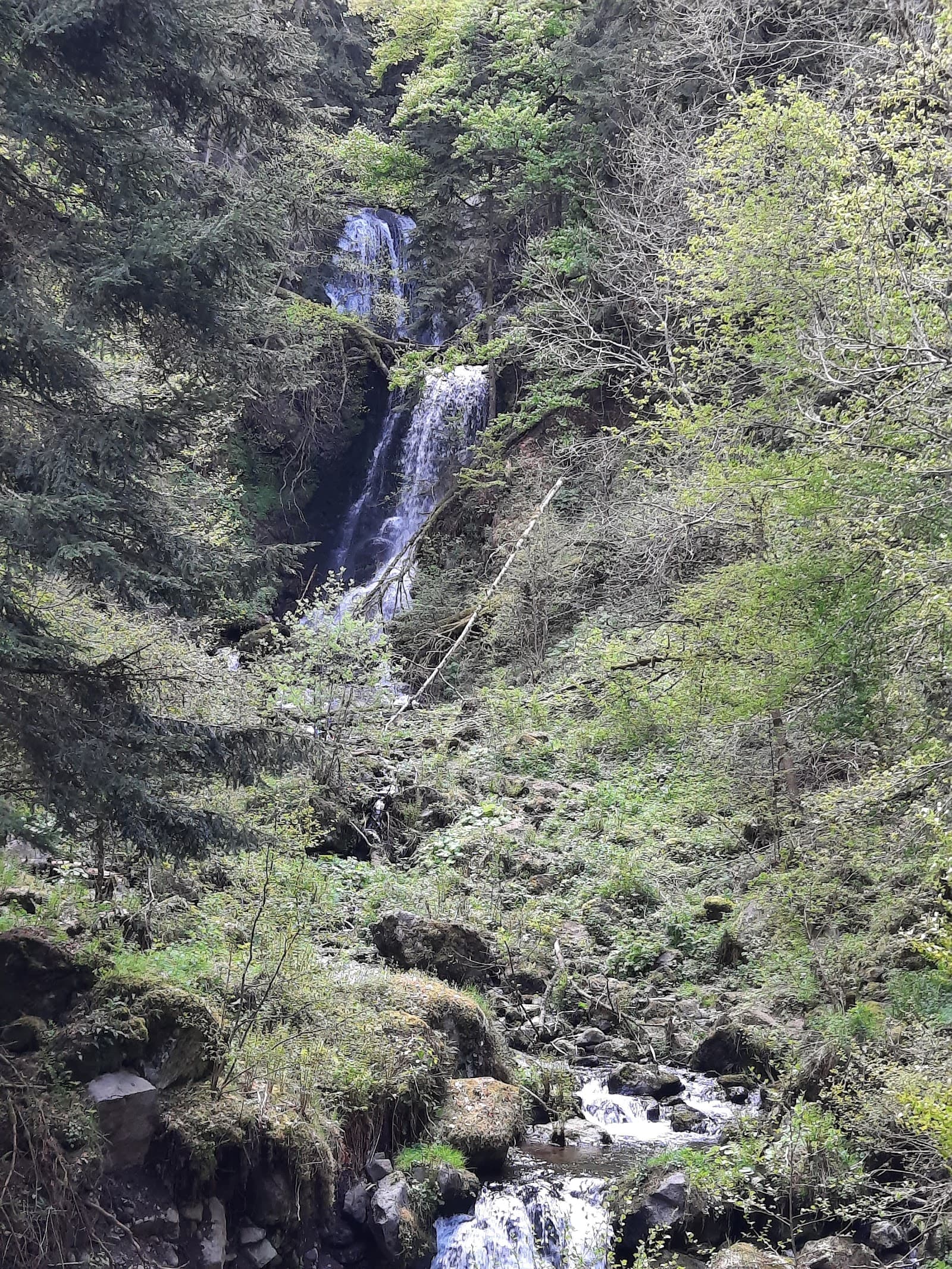 Cascade de Chambeuil, Laveissière (3/5)