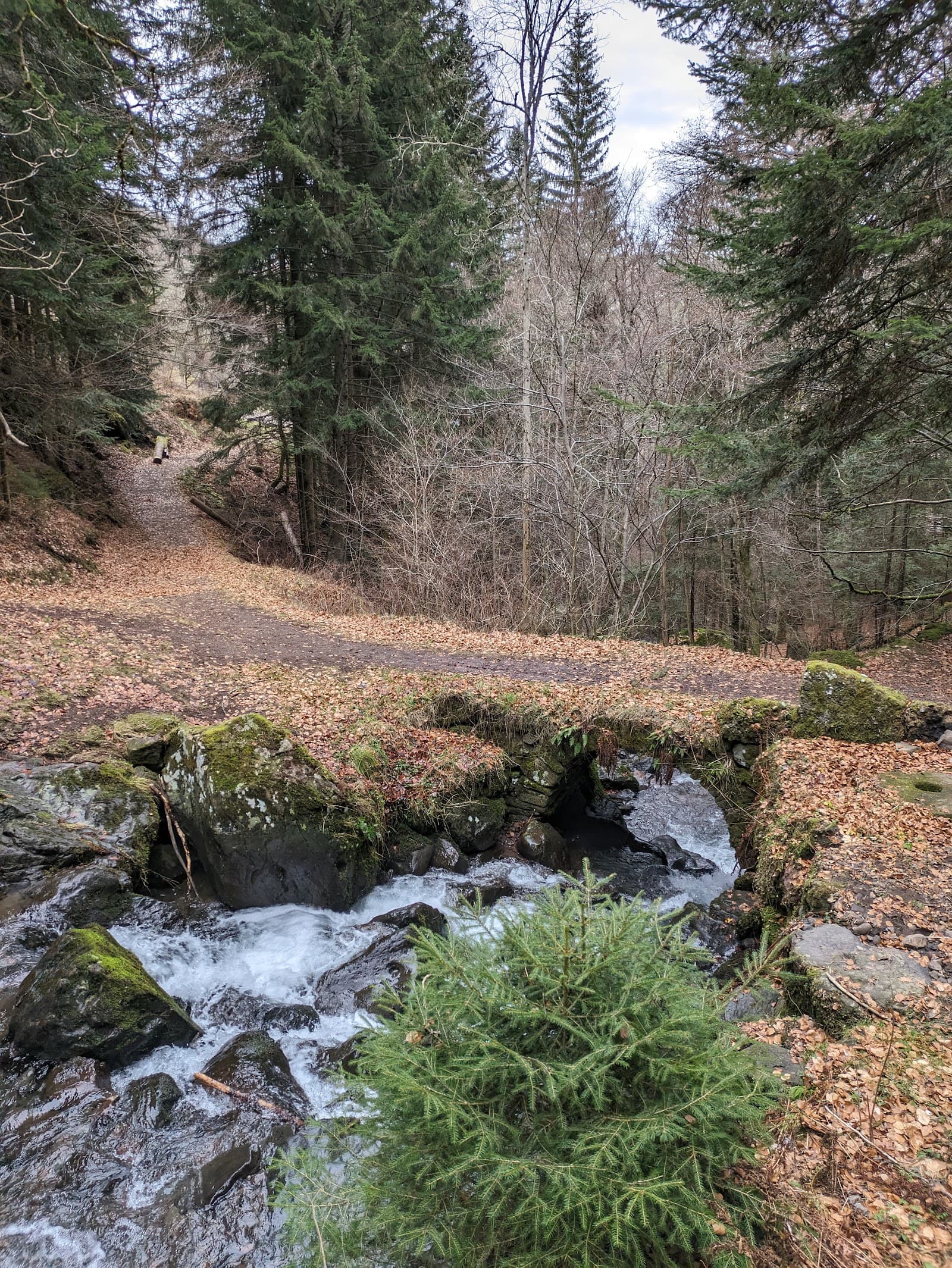 Cascade de Chambeuil, Laveissière (4/5)