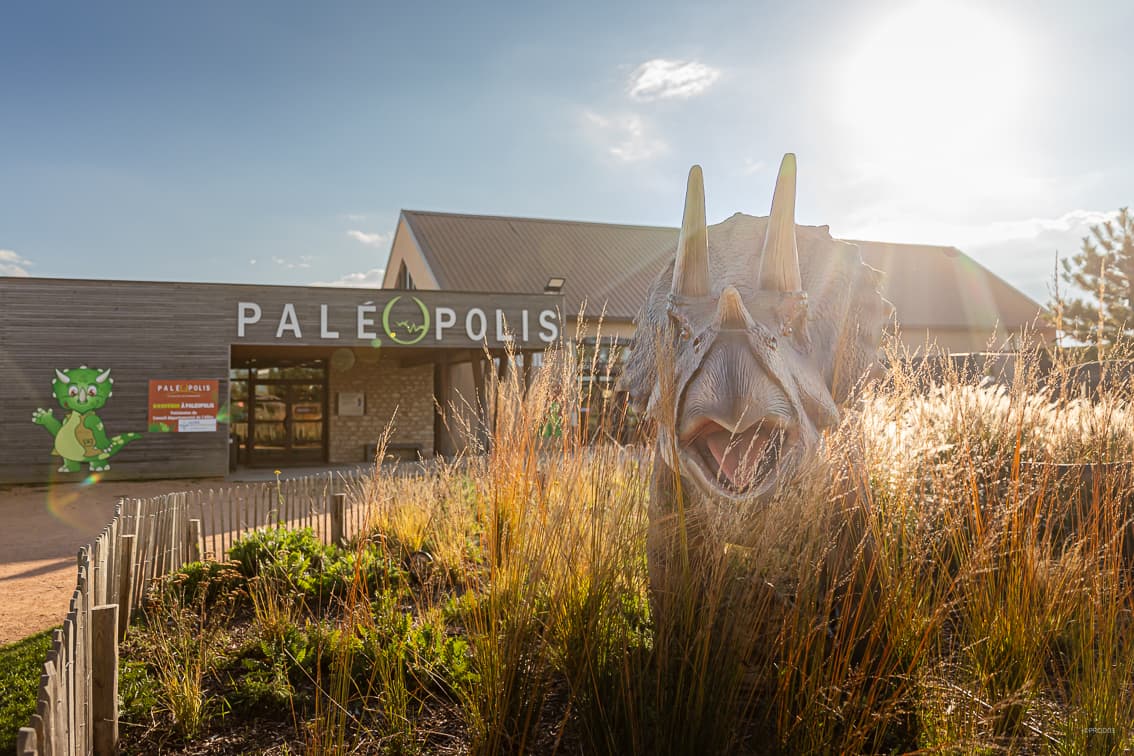 Paléopolis, Gannat (1/5)