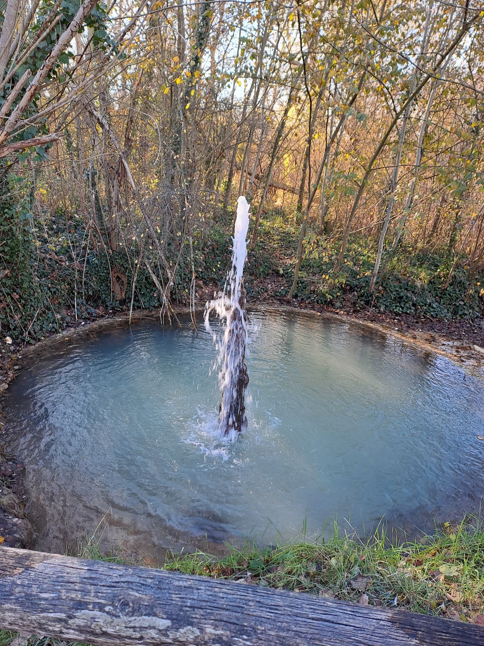 Sources salées du Saladis, Les Martres-de-Veyre (2/5)