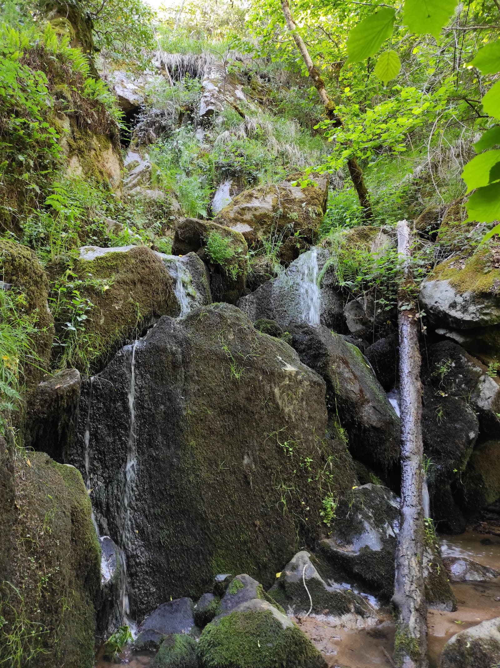 Gorges de la Monne, Olloix (2/5)