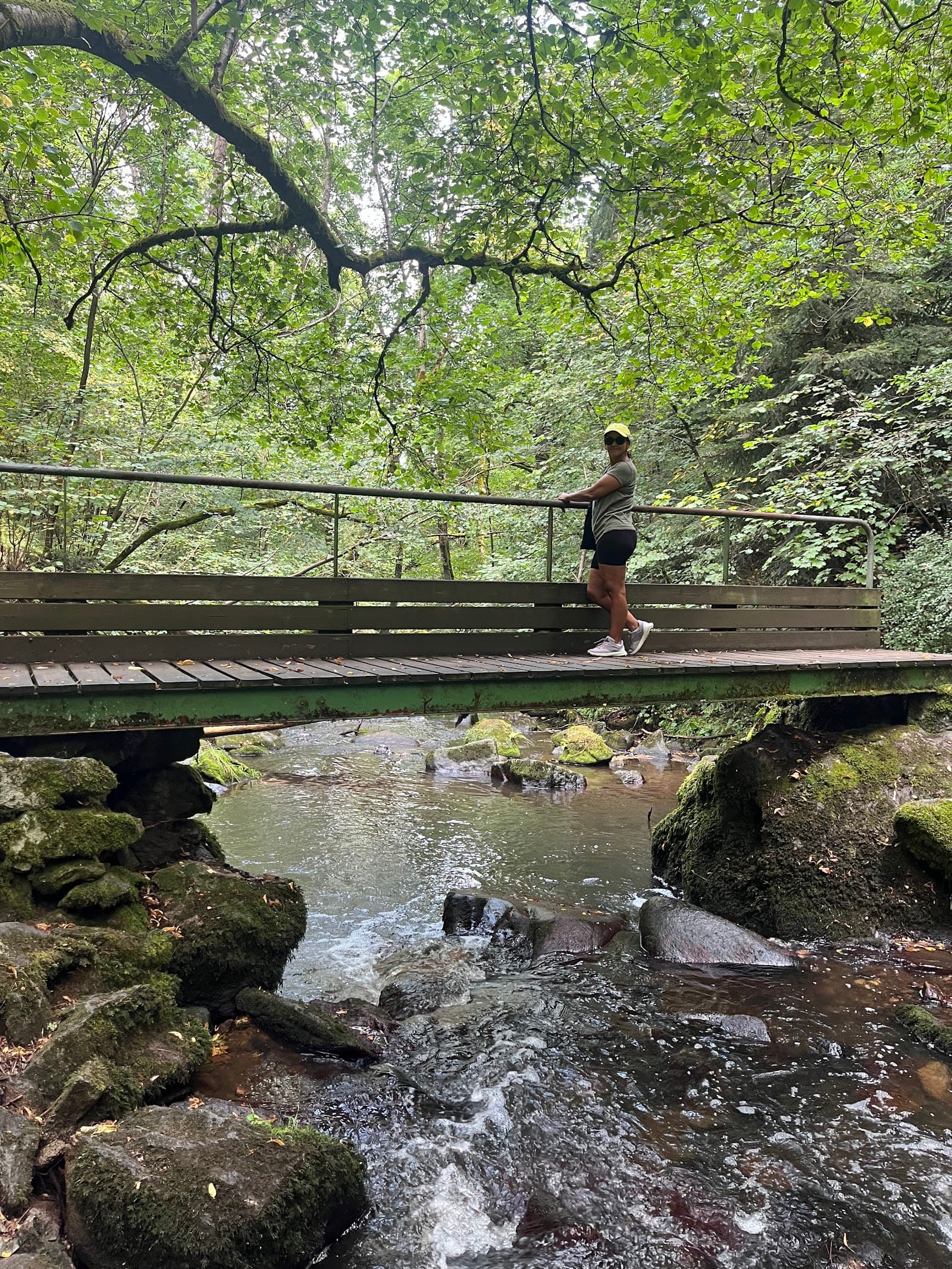 Gorges de la Monne, Olloix (5/5)
