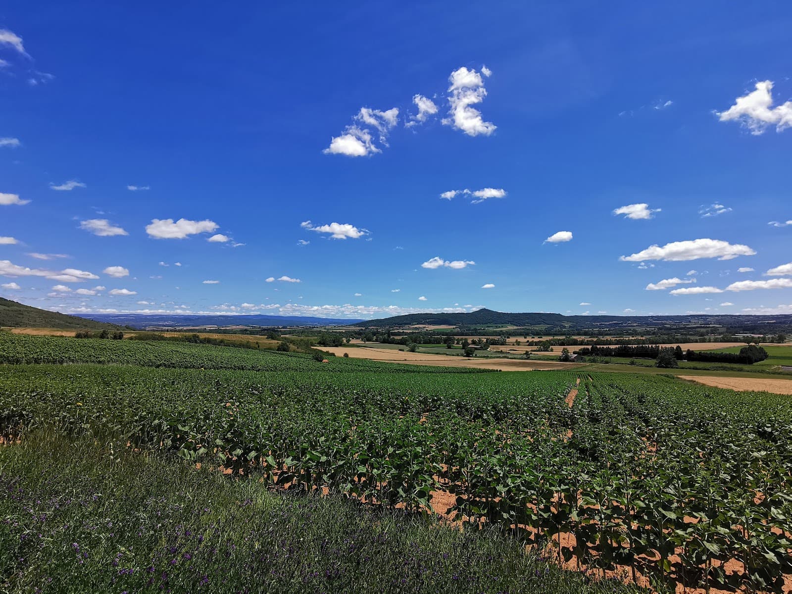 Source romaine de Bard, Boudes (4/5)