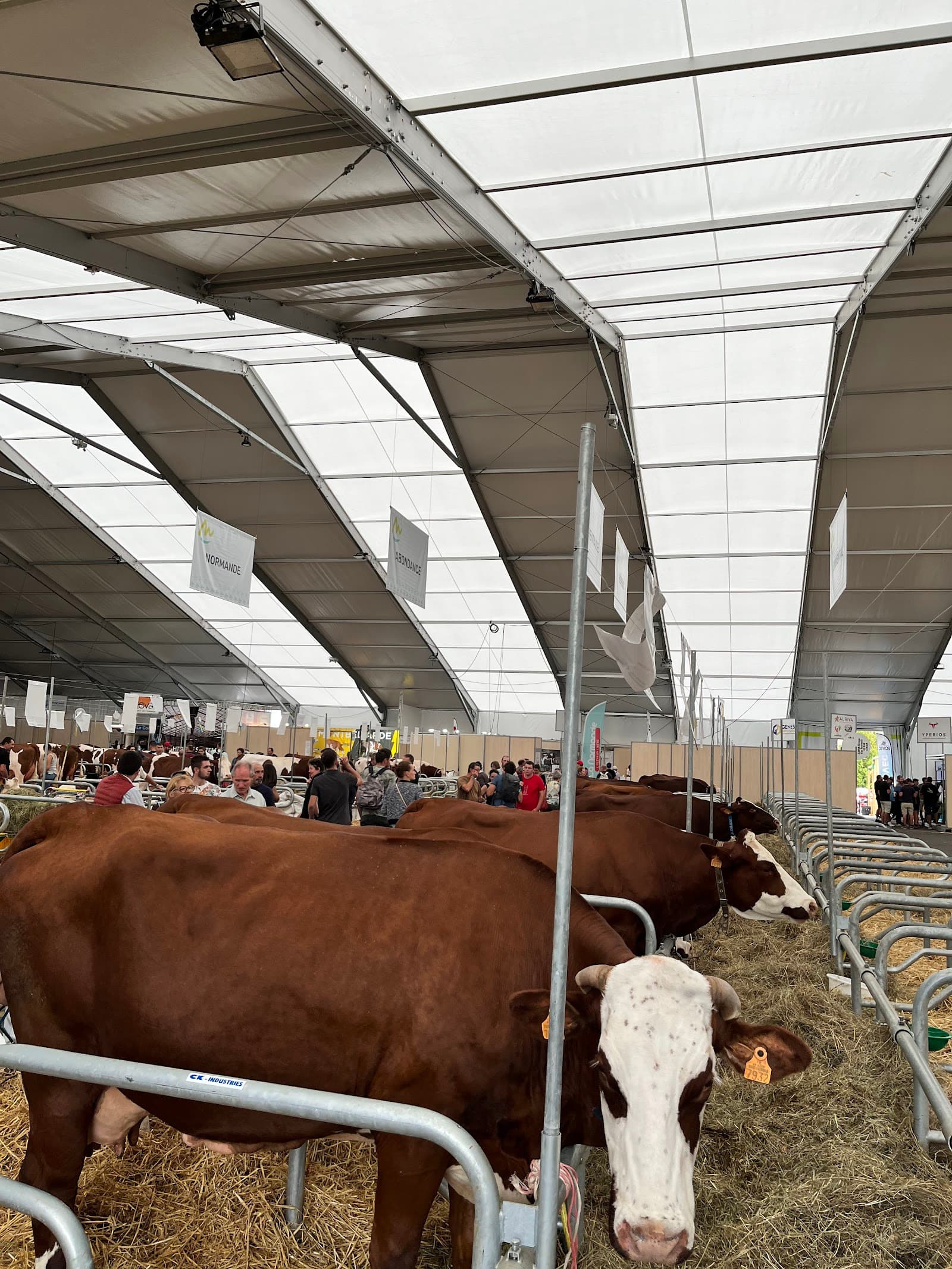 Zénith d'Auvergne, Cournon-d'Auvergne (3/5)