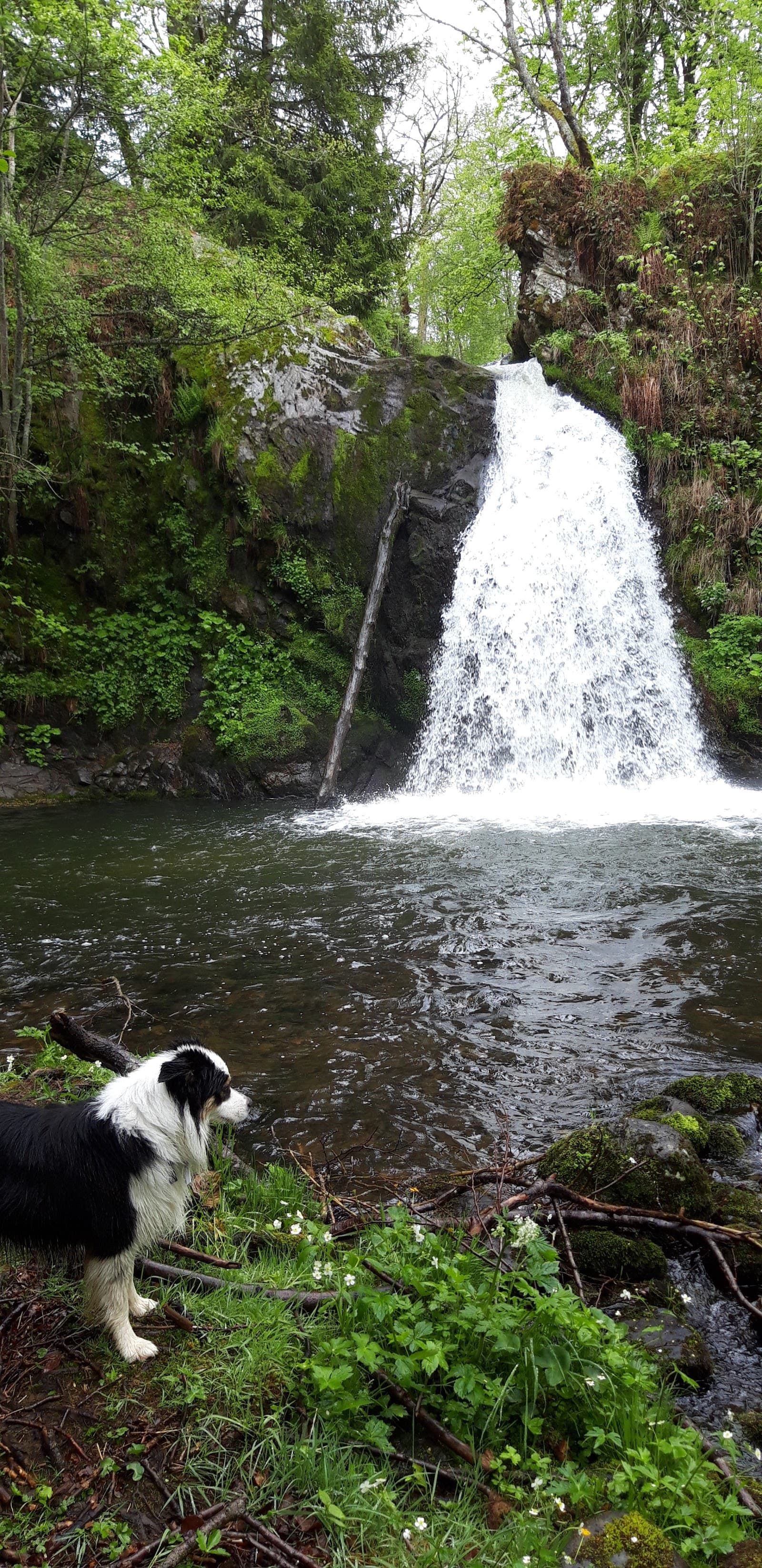 Cascade Sainte-Élisabeth, La Tour-d'Auvergne (4/5)