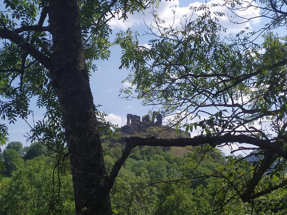 Photo de La Loire entre Gerbizon et Miaune