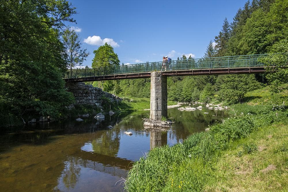 Photo de Panoramas, sucs et forêts