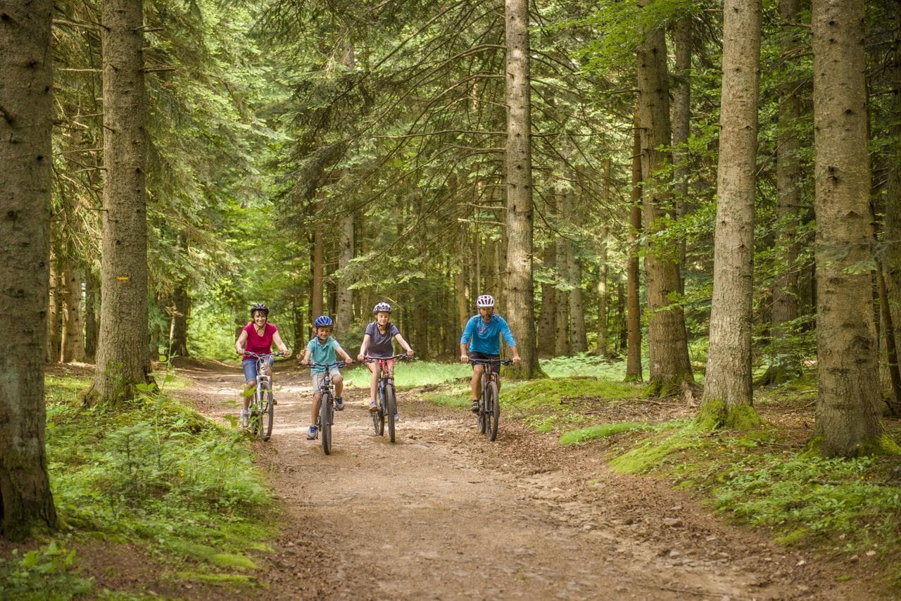 Les joies du VTT au cœur de la nature