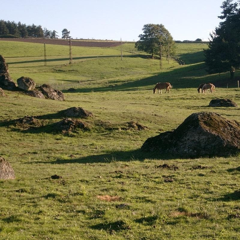 Les prés de la Haute-Loire