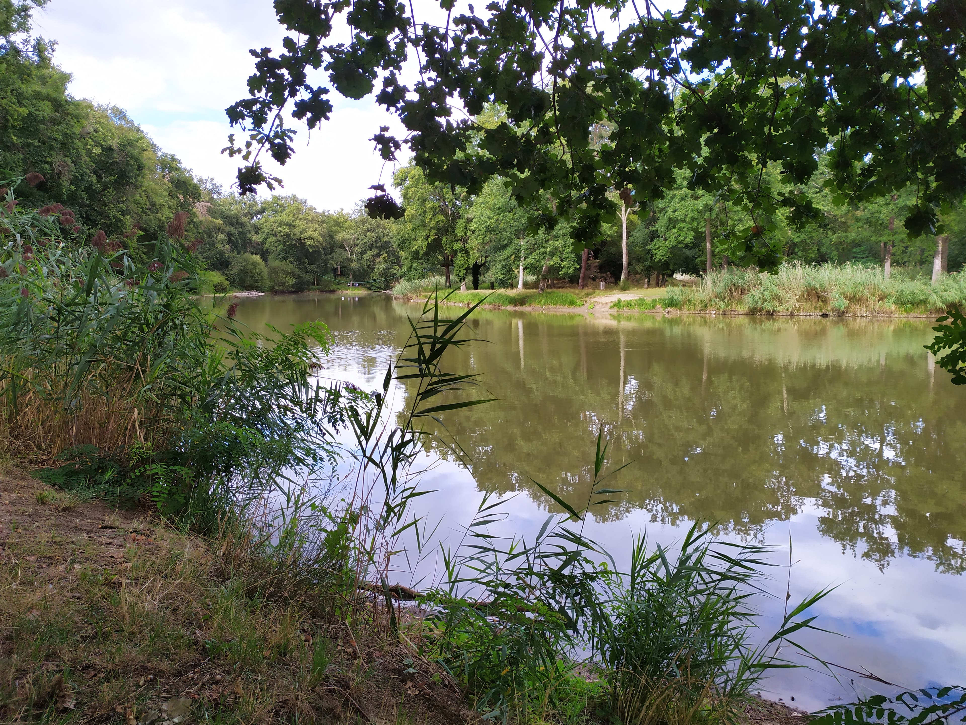 Etang de l'Isle