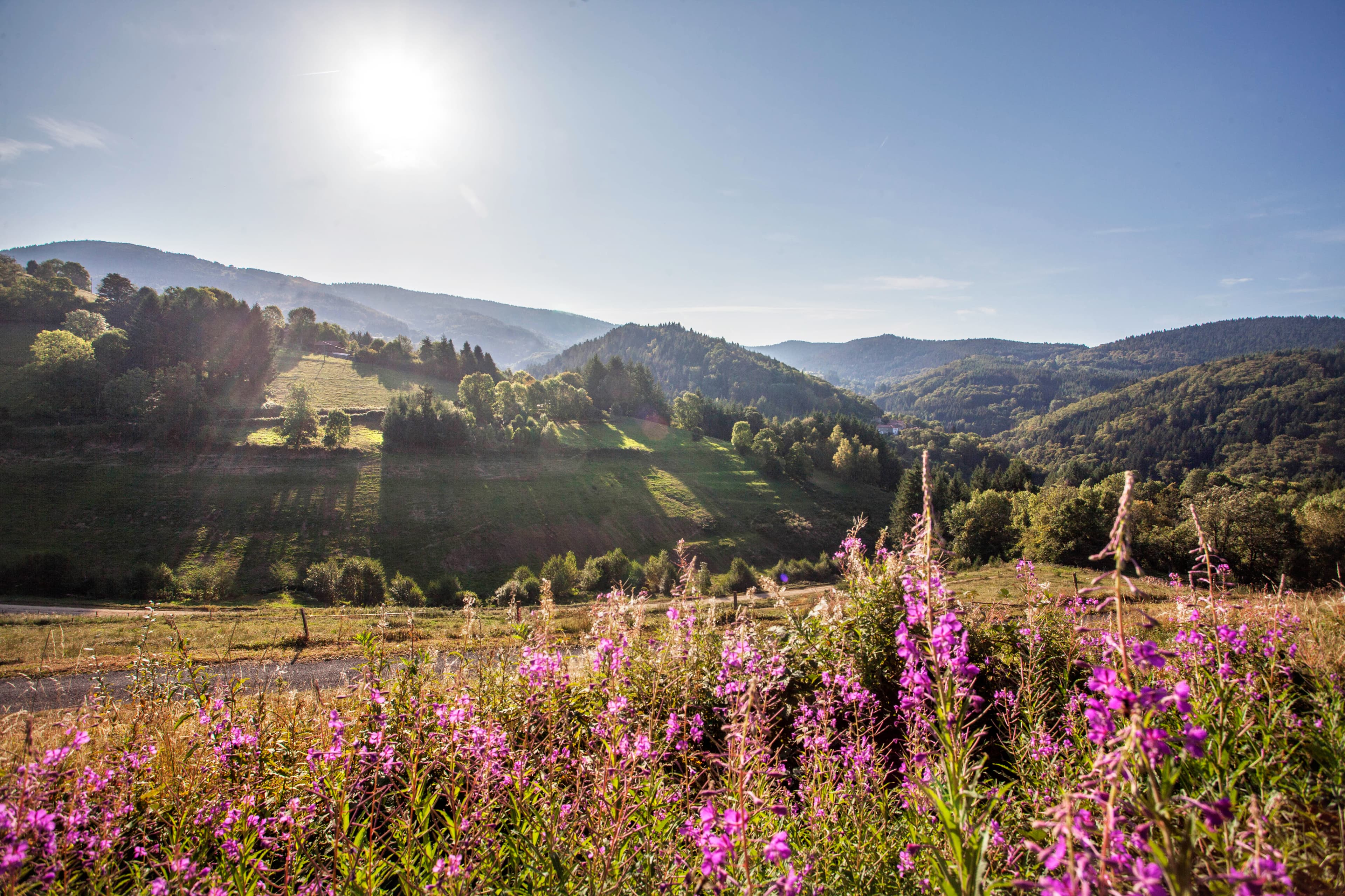Les Hautes-Chaumes