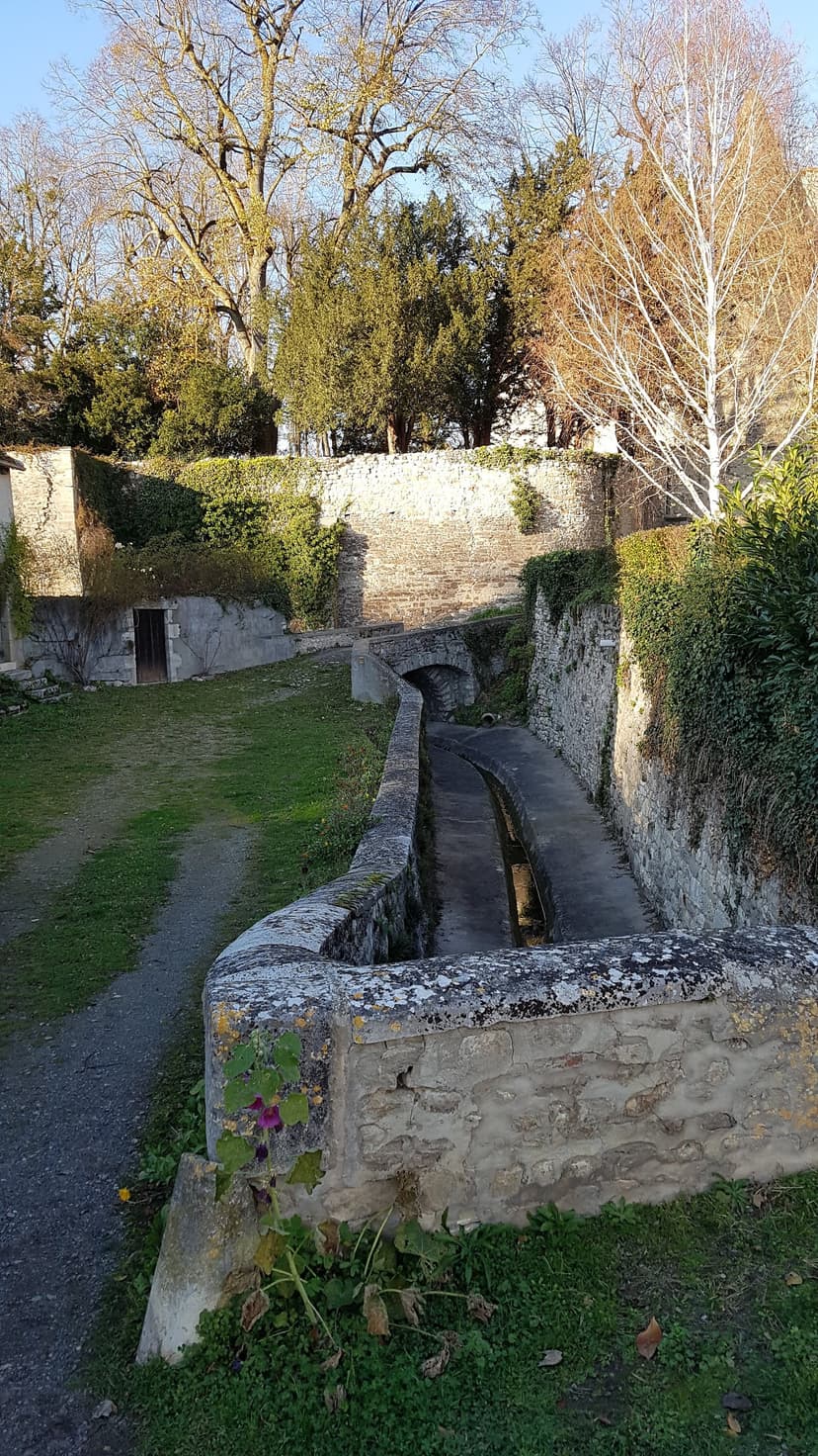 Bellenaves photo 3