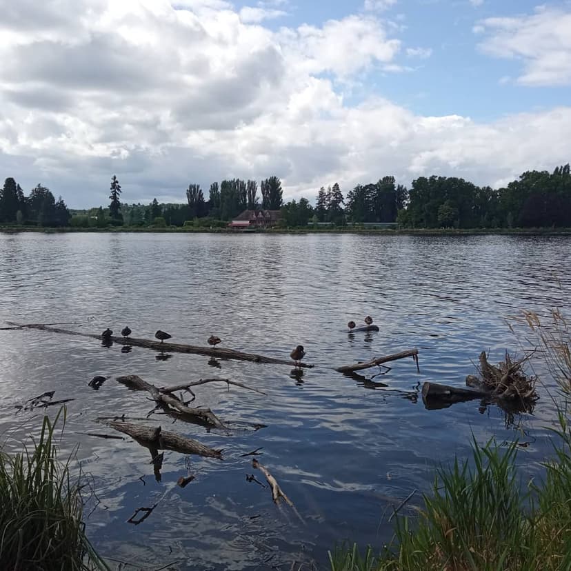 Bellerive-sur-Allier photo 2