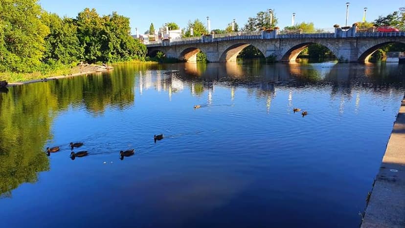 Saint-Pourçain-sur-Sioule photo 5