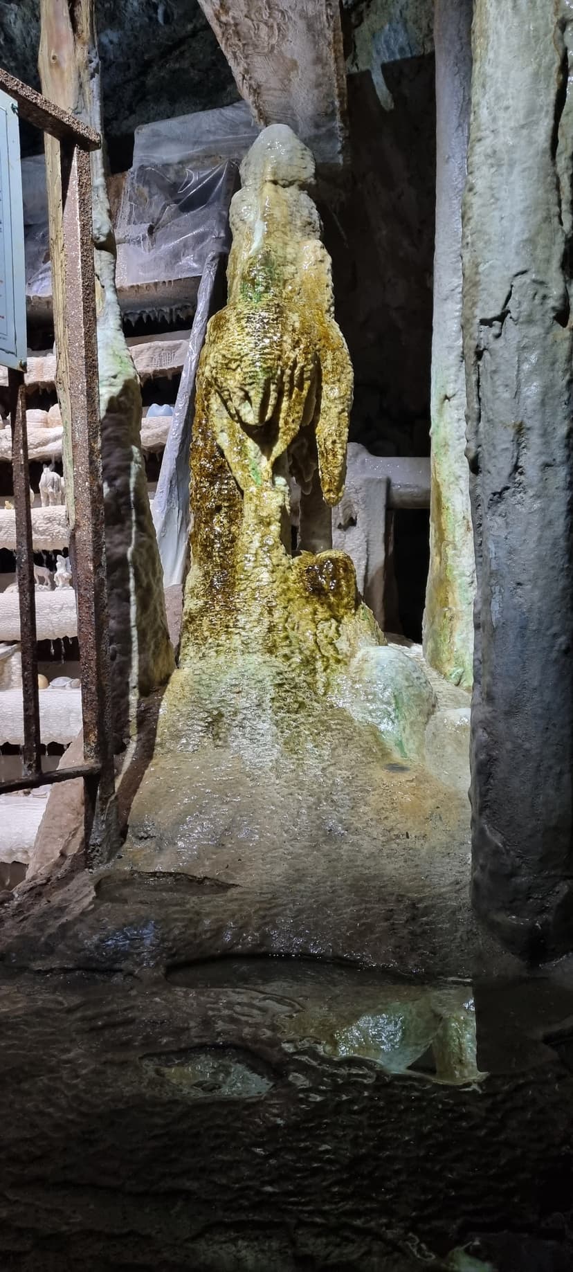 Saint-Nectaire photo 5