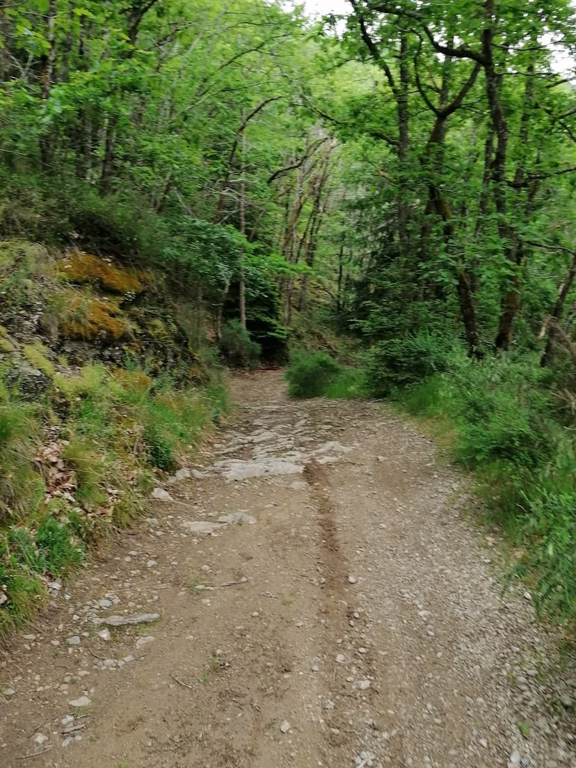 Saint-Ours photo 5