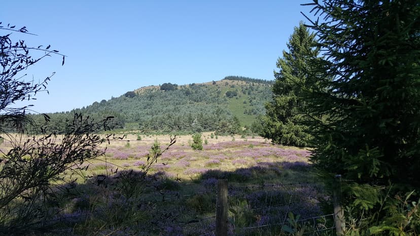 Saint-Ours photo 6
