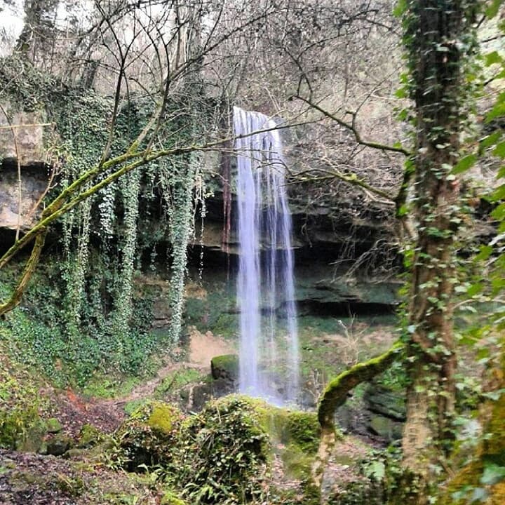 Vic-le-Comte photo 4