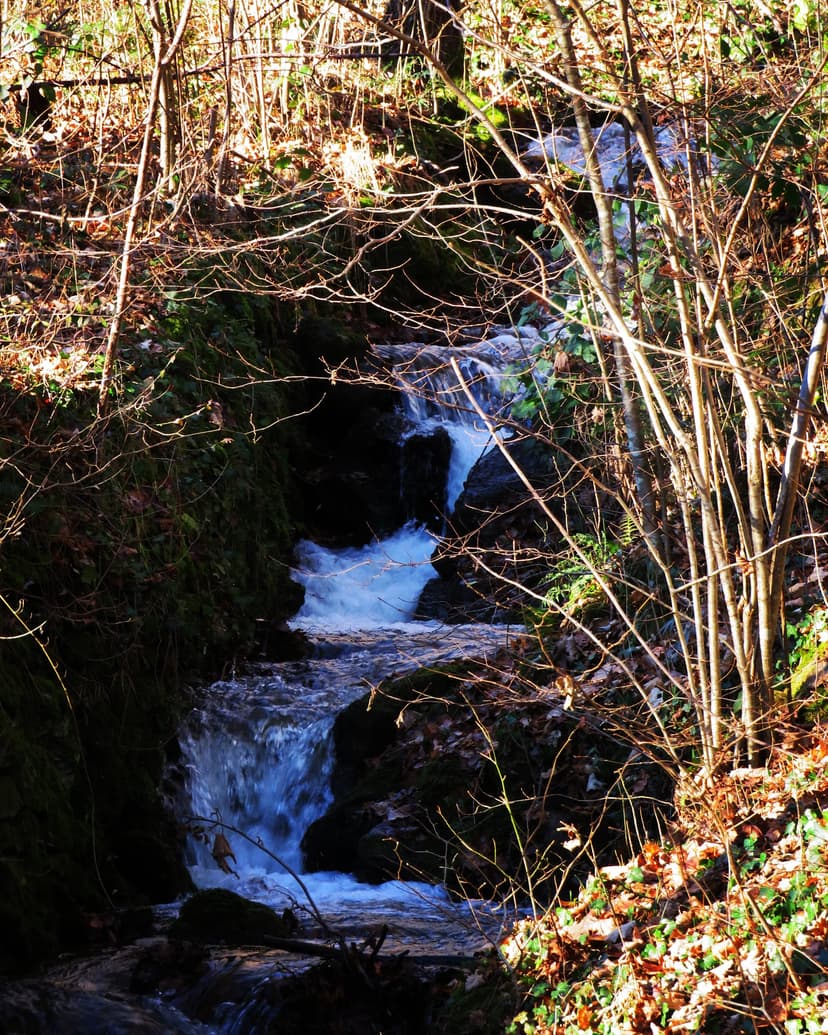Volvic photo 4