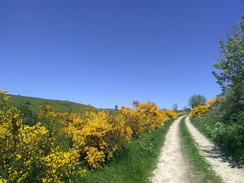 Anzat-le-Luguet photo 3