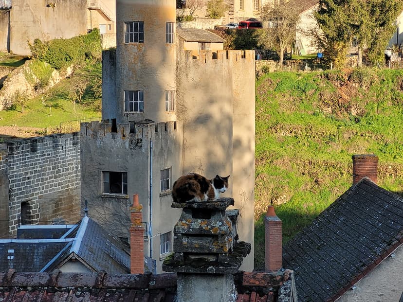 Bourbon-l'Archambault photo 6