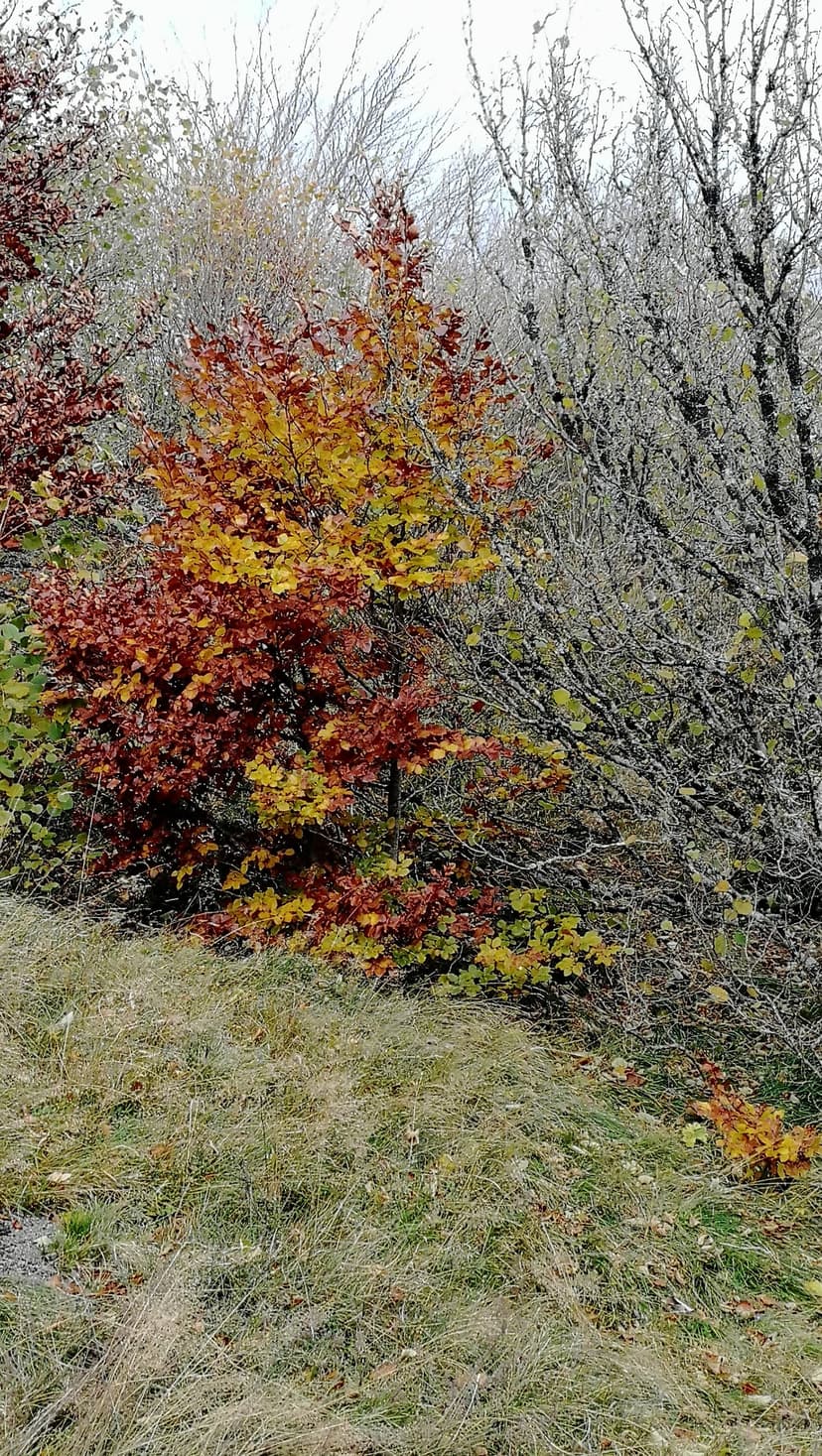 Ceyssat photo 4
