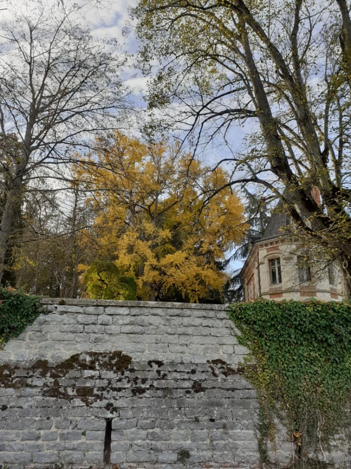 Chassenard photo 1