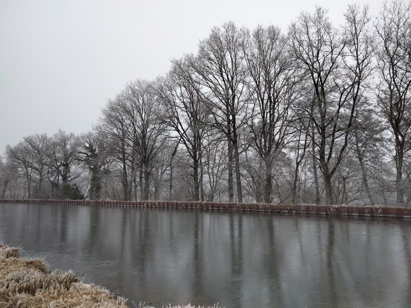 Chassenard photo 2