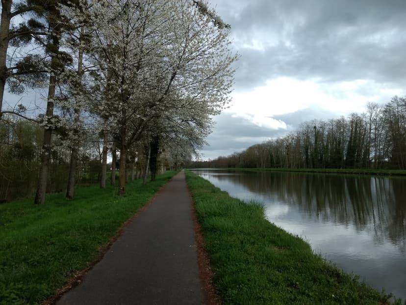 Chassenard photo 4