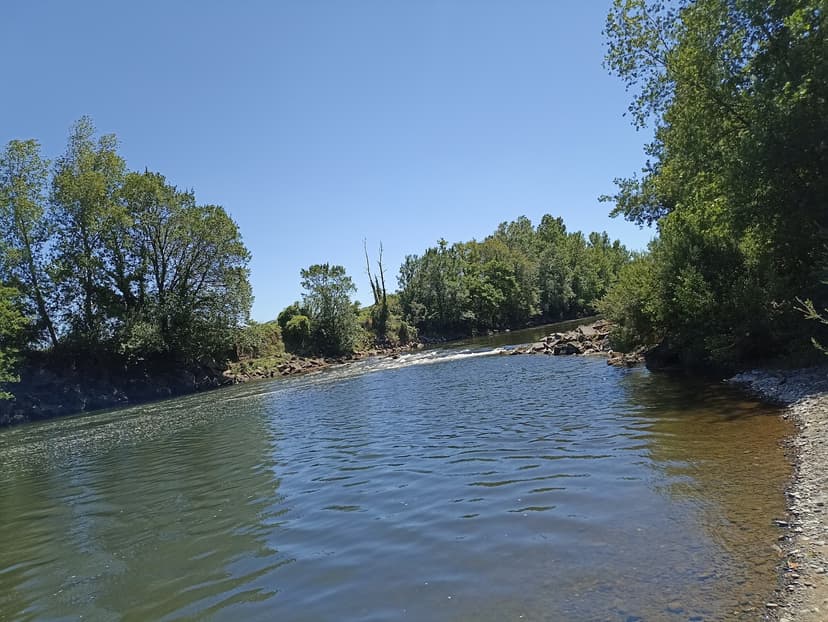 Cournon-d'Auvergne photo 5