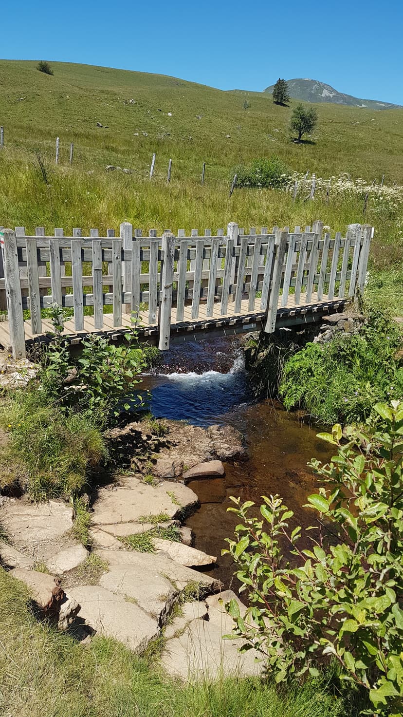 Picherande photo 3